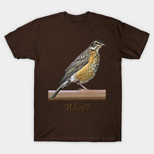 What? Robin T-Shirt by MaryLinH